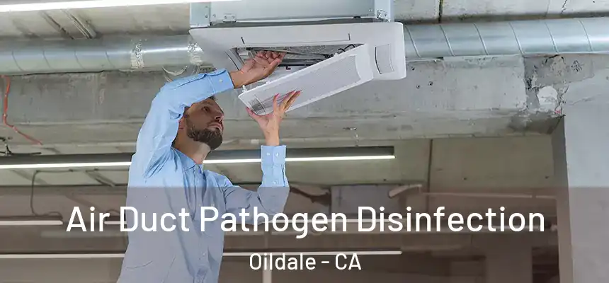 Air Duct Pathogen Disinfection Oildale - CA