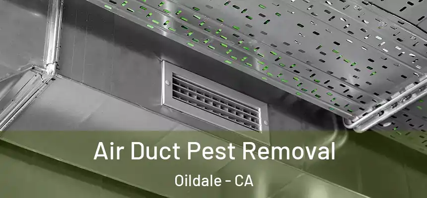 Air Duct Pest Removal Oildale - CA