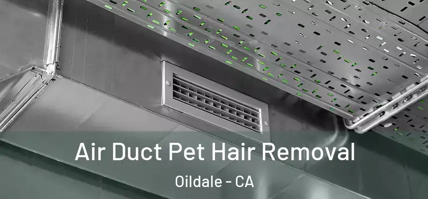 Air Duct Pet Hair Removal Oildale - CA