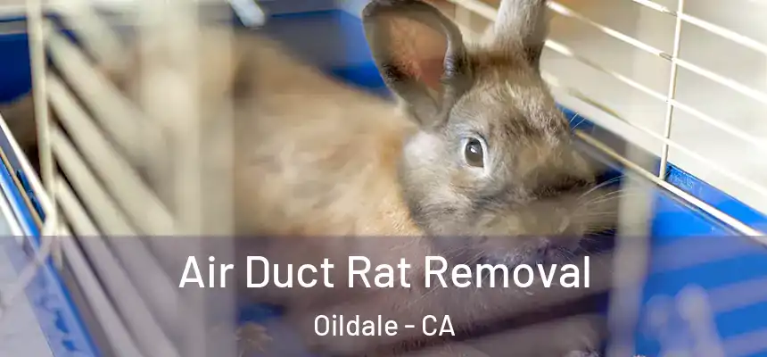  Air Duct Rat Removal Oildale - CA