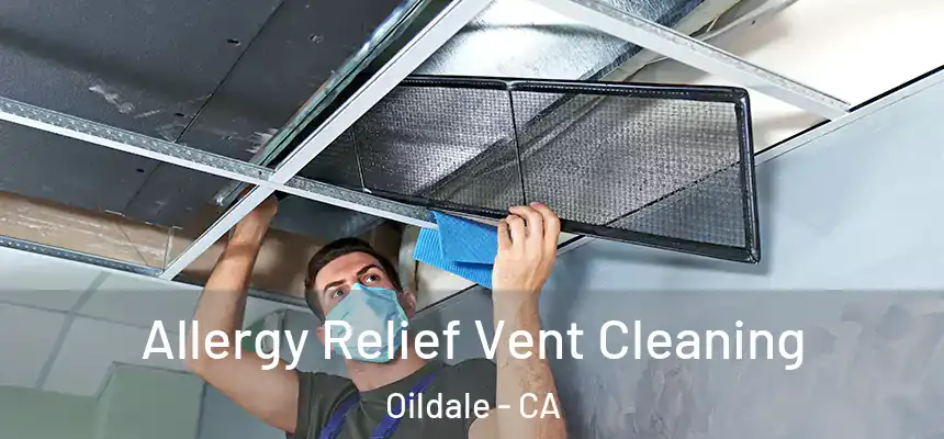 Allergy Relief Vent Cleaning Oildale - CA