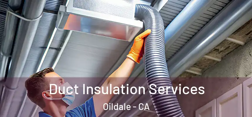 Duct Insulation Services Oildale - CA