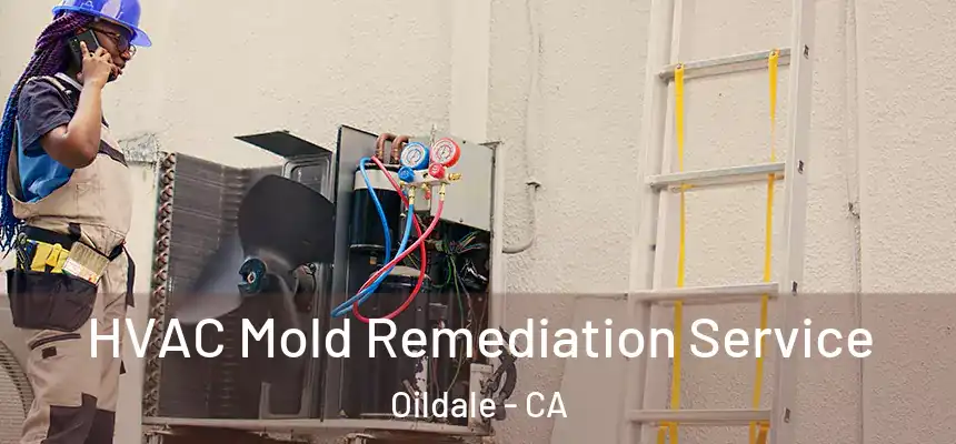 HVAC Mold Remediation Service Oildale - CA