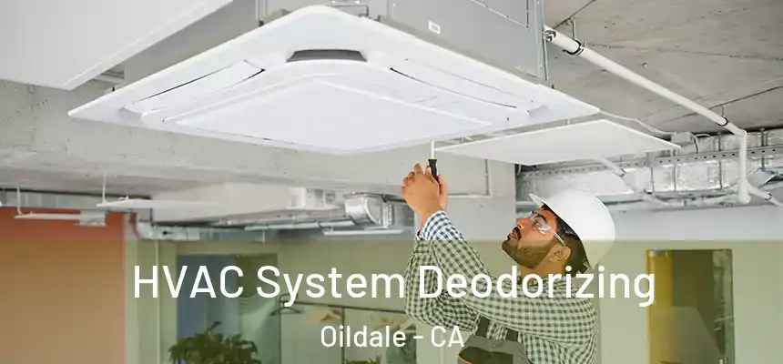  HVAC System Deodorizing Oildale - CA