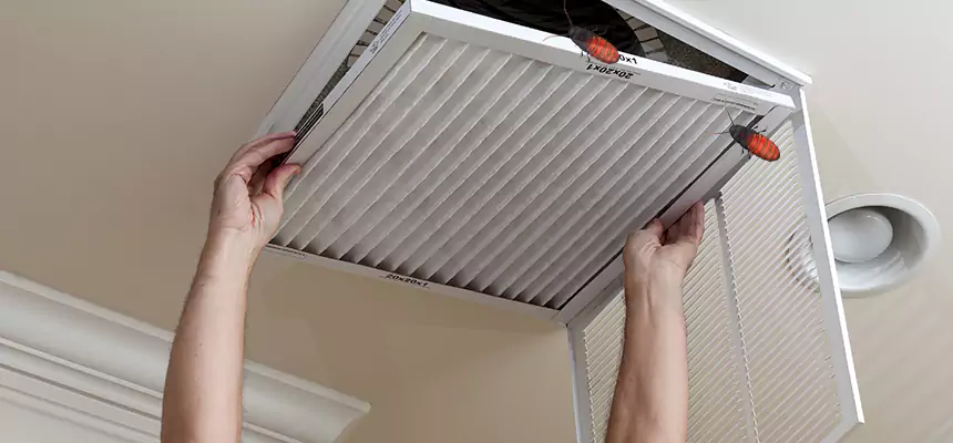 Preventive Cockroach-Proofing for Ducts in Oildale