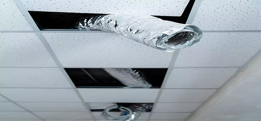 Our Air Duct Pet Hair Removal Services in Oildale, CA