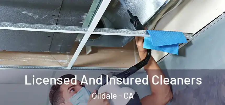 Licensed And Insured Cleaners Oildale - CA