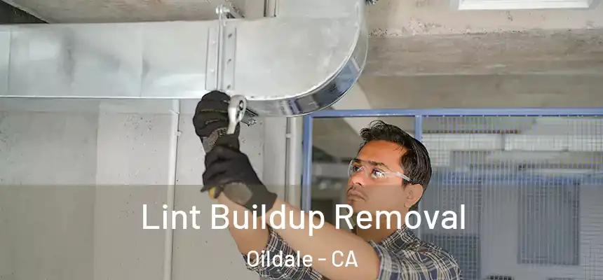 Lint Buildup Removal Oildale - CA