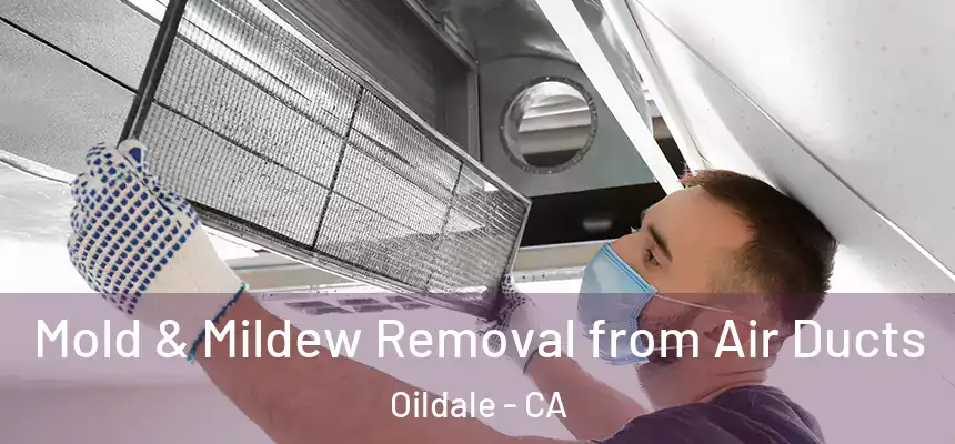 Mold & Mildew Removal from Air Ducts Oildale - CA