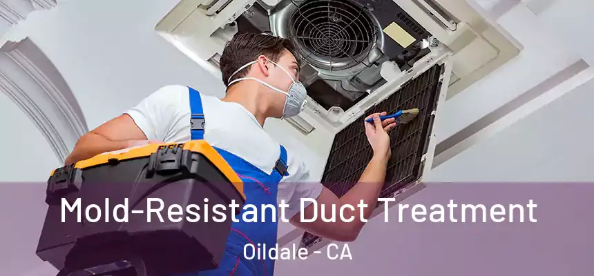 Mold-Resistant Duct Treatment Oildale - CA