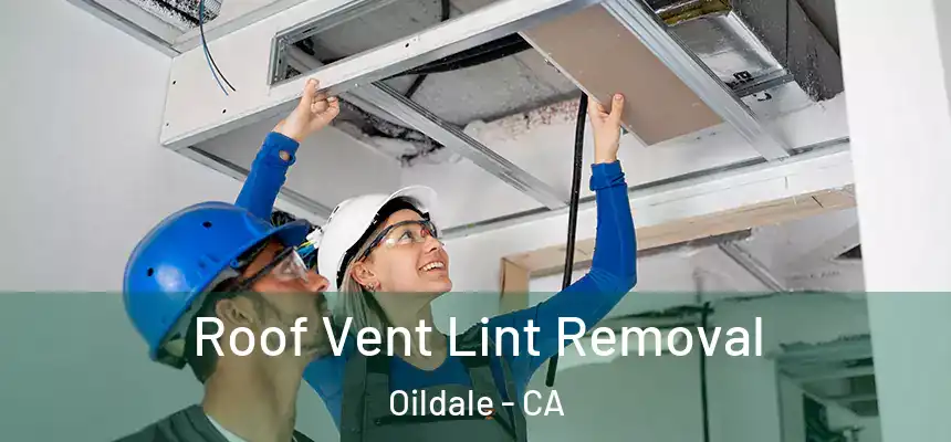 Roof Vent Lint Removal Oildale - CA