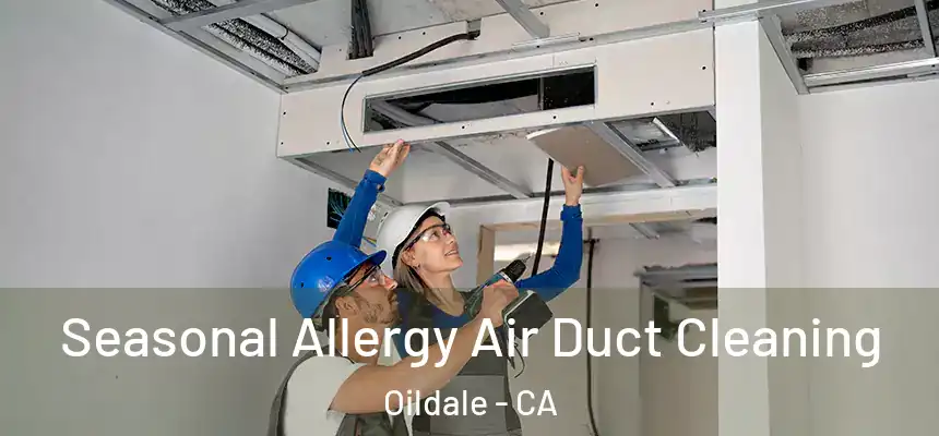 Seasonal Allergy Air Duct Cleaning Oildale - CA