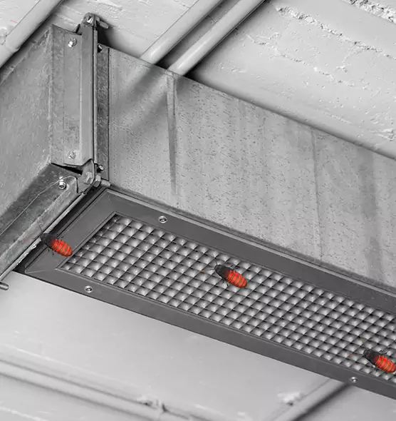 About Air Duct Cockroach Removal in Oildale, CA