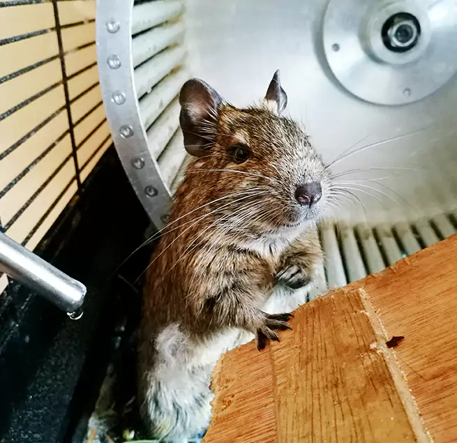 Why Homeowners & Businesses Trust Us Oildale, CA?